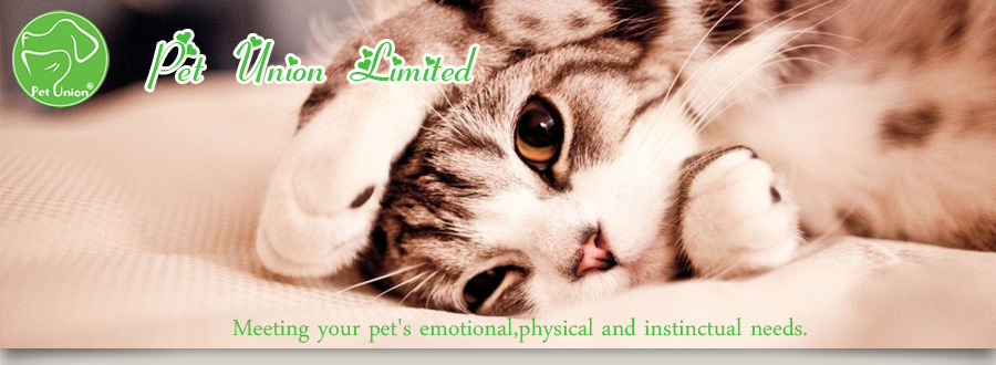 SmartyKat: Meeting your pet's emotional, physical and instinctual needs